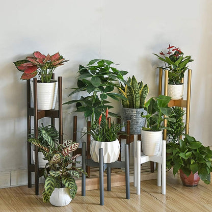 🌿✨ Elevate Your Greenery! 🌟 Get our Stackable & Adjustable 2-Tier Plant Stand Set (30'' Gold) for a stylish indoor garden! 🪴💛 #HomeDecor #PlantLovers